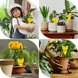 BugShield Plant Protector