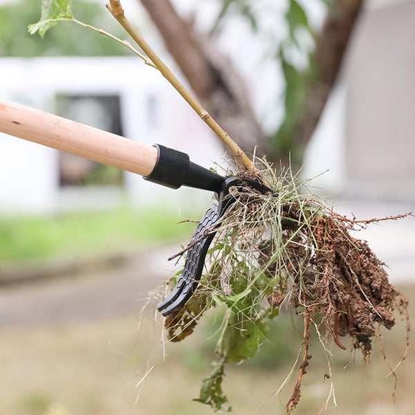 Standing Weed Puller Tool